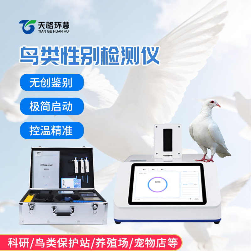 鸽子性别检测仪