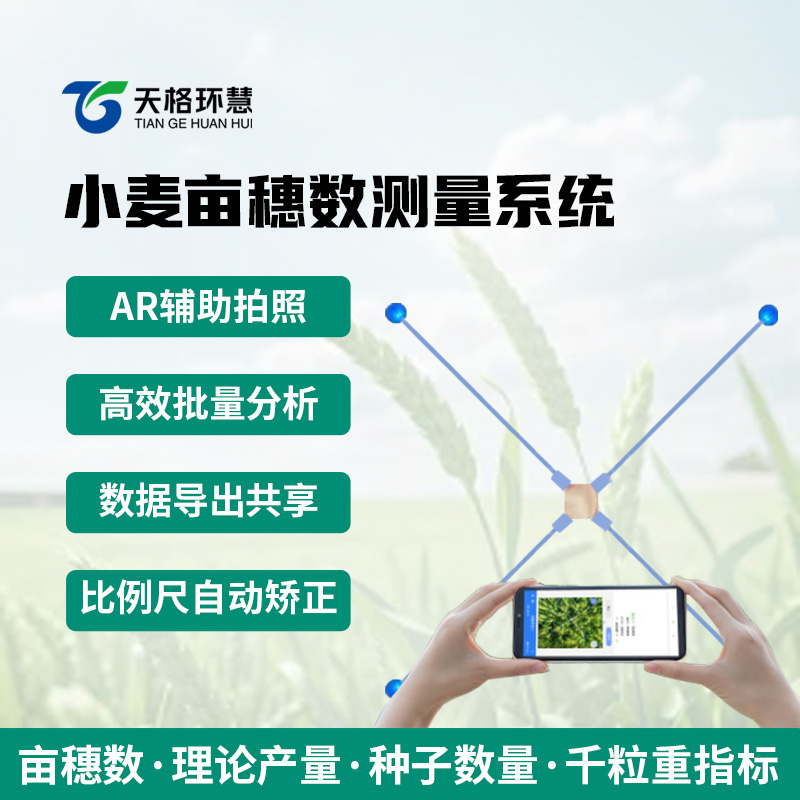 小麦亩穗数测量系统