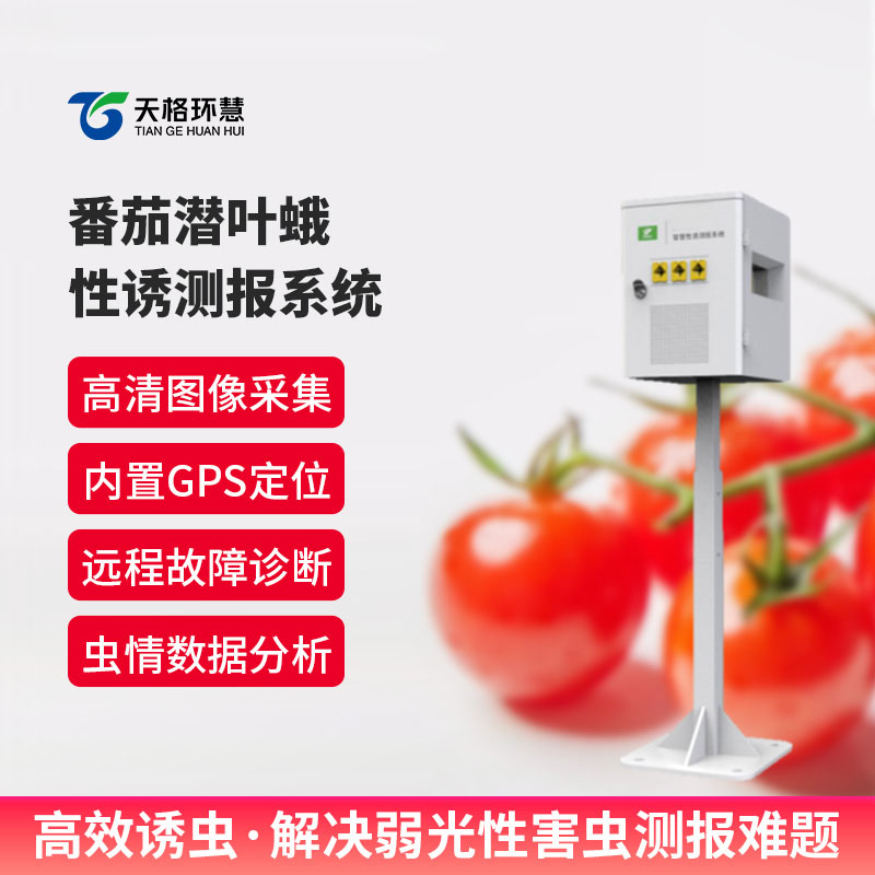 番茄潜叶蛾性诱测报系统