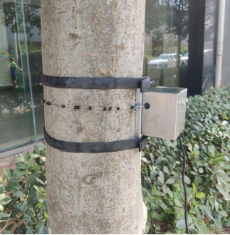 树干直径生长变化传感器